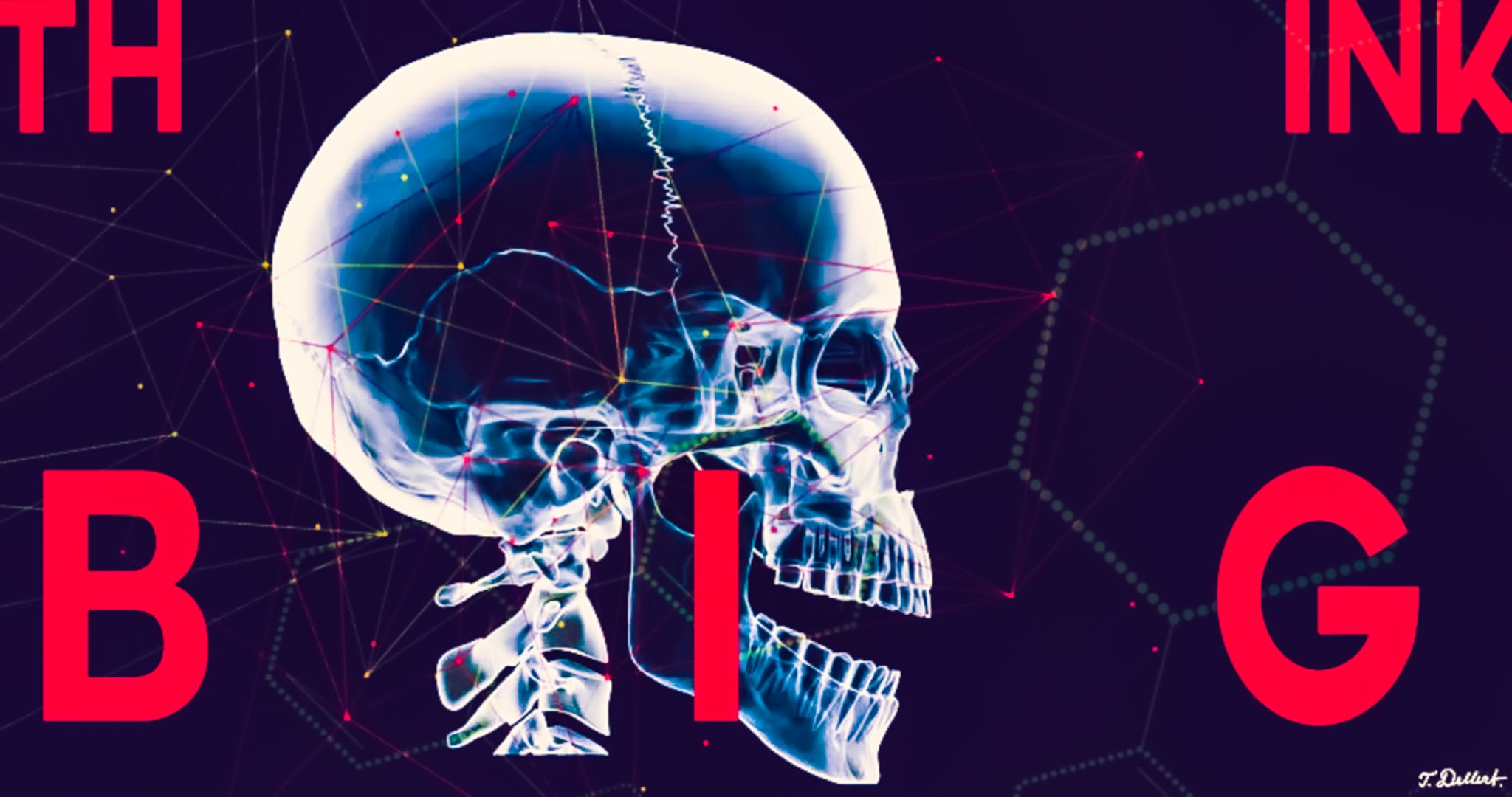THINK BIG. X Ray Art  8